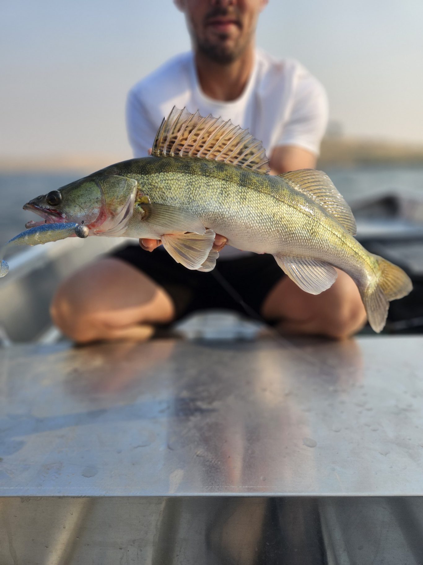 Zander angeln Orellana Stausee