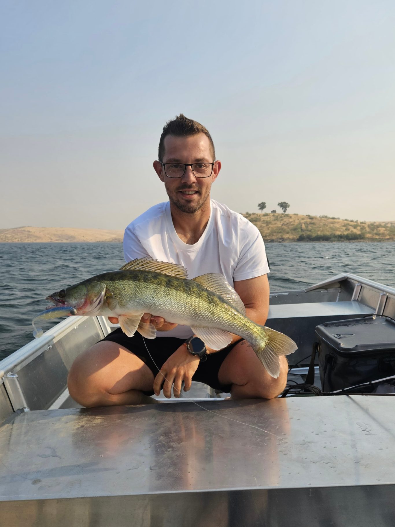 Zander angeln Orellana Stausee